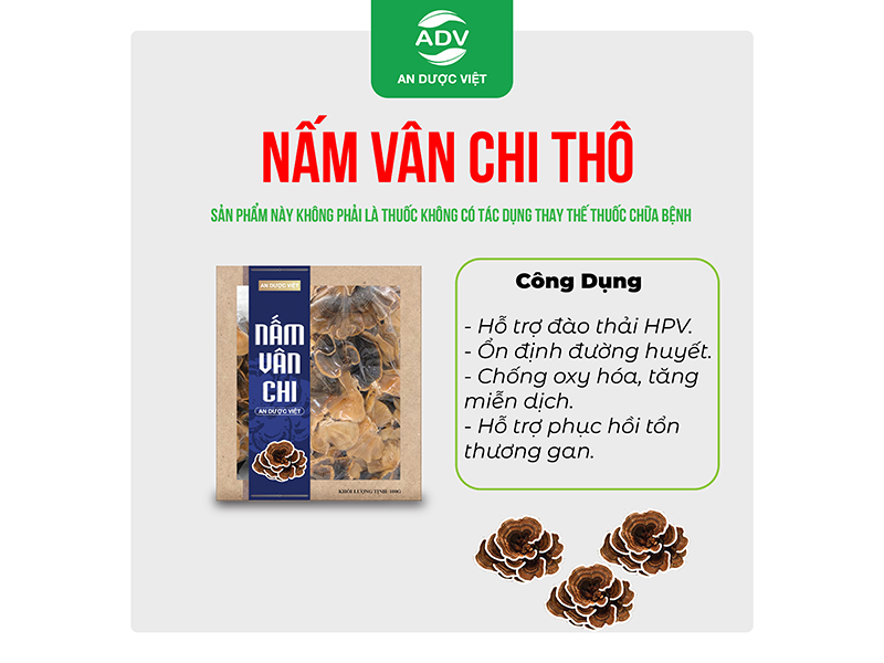 Nấm Vân Chi Thô 100 gam, sấy khô 13% - An Dược Việt
